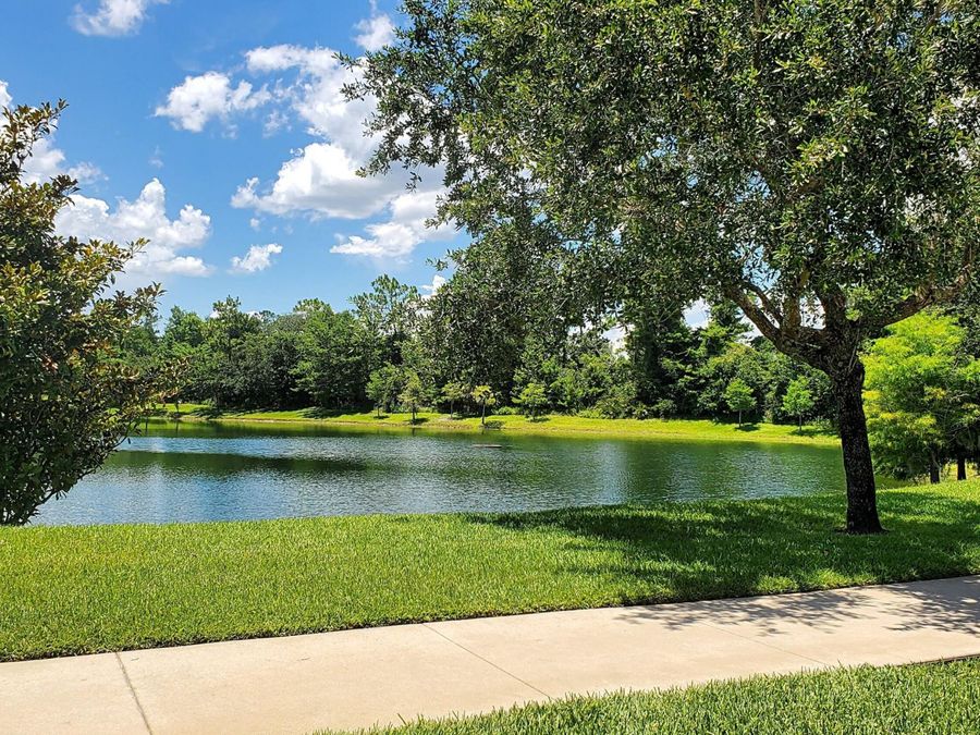 Property Image 67