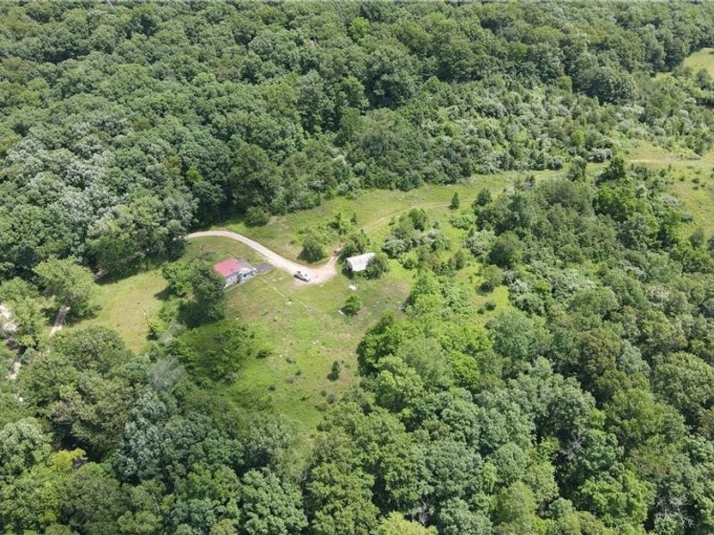 84 Sealy Ridge Road, Little Hocking, OH 45742 Photo 31