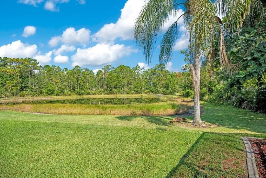 9211 Shadow Pinar Court, Orlando, FL 32825 Photo