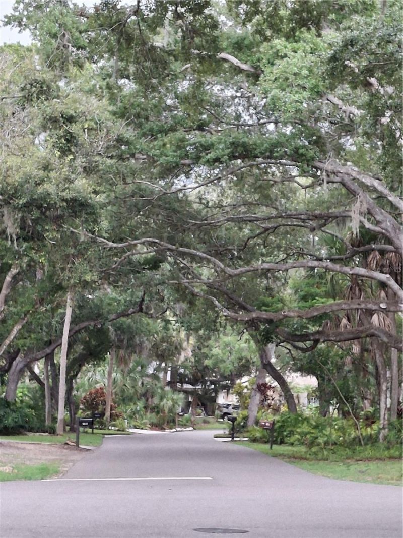 4424 Friar Tuck Lane, Sarasota, FL 34232 Photo
