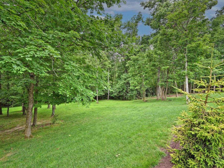 Property Image 63