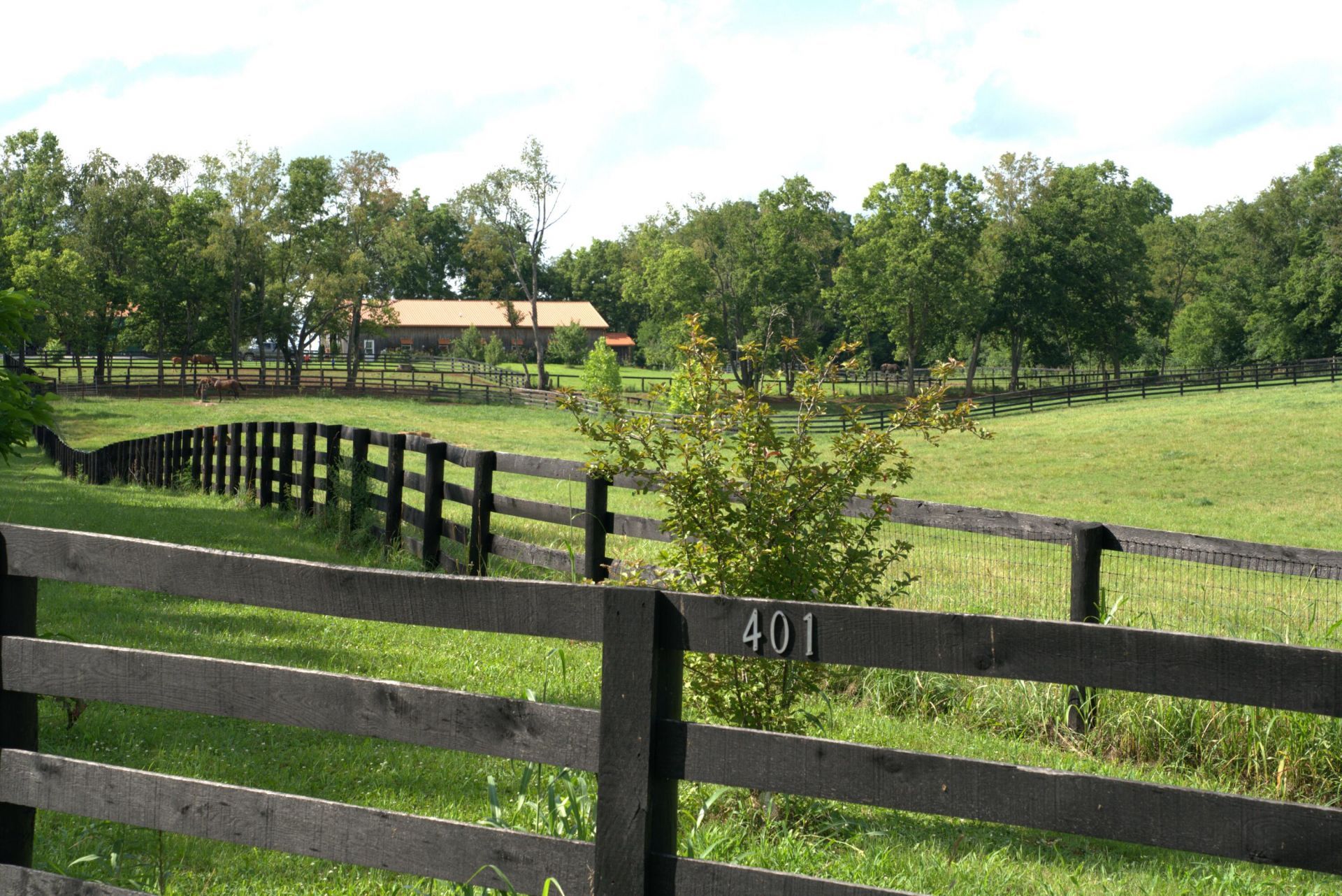 401 Cane Ridge Road, Paris, KY 40361 Main Photo