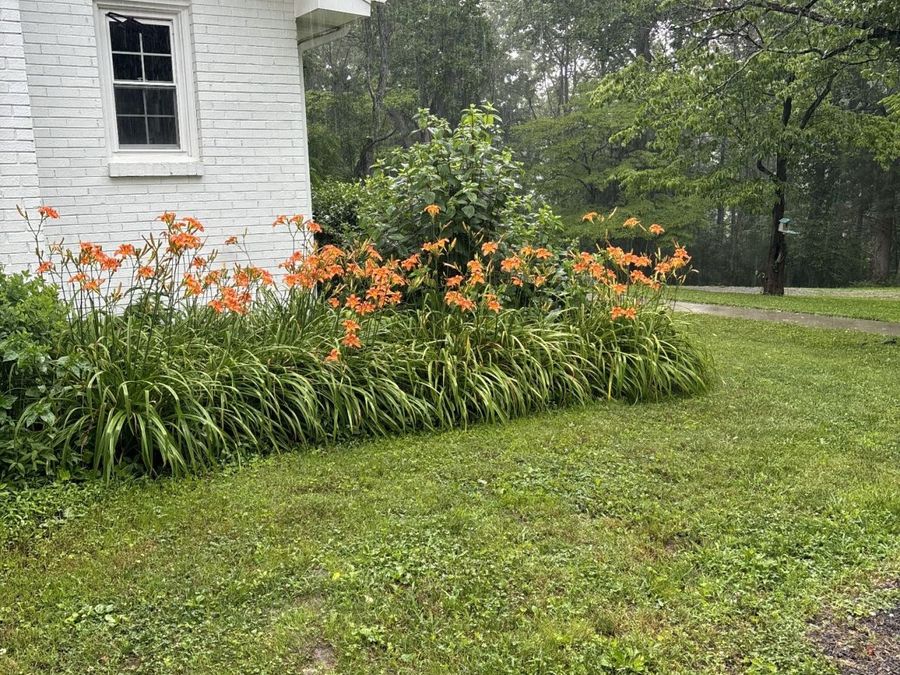 Property Image 59