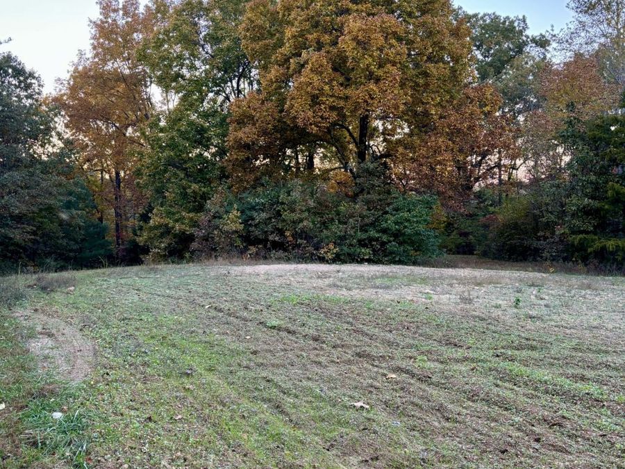 Property Image 60
