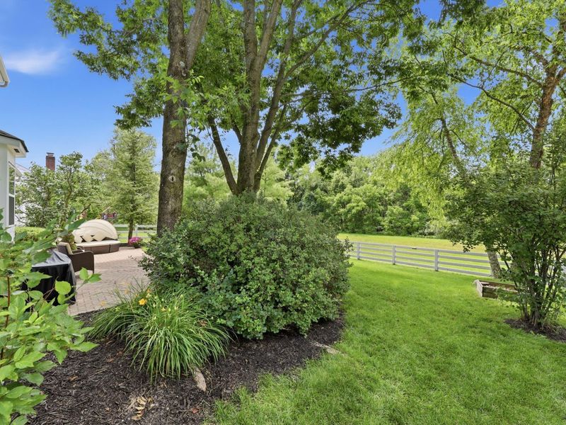 1681 Gosport Place, New Albany, OH 43054 Photo 28