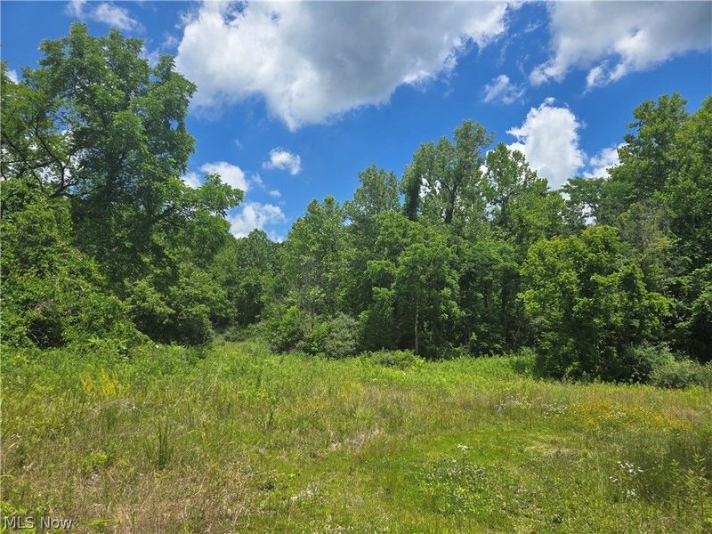 Hawks Road , Athens, OH 45701 Photo 8