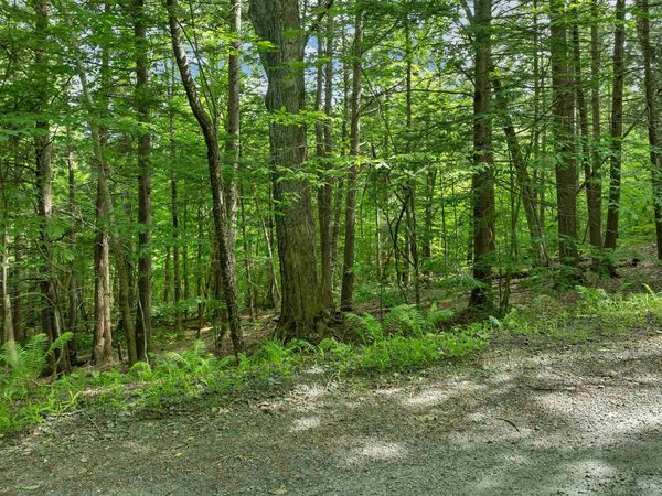 0 Safford Road, Hartford, VT 05059