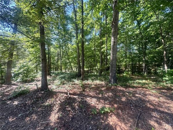 0 TEEL MOUNTAIN DR , Cleveland, GA 30528