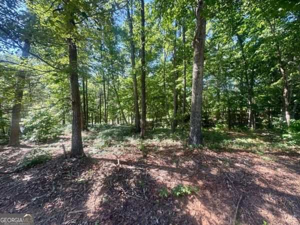 0 TEEL MOUNTAIN DR, Cleveland, GA 30528