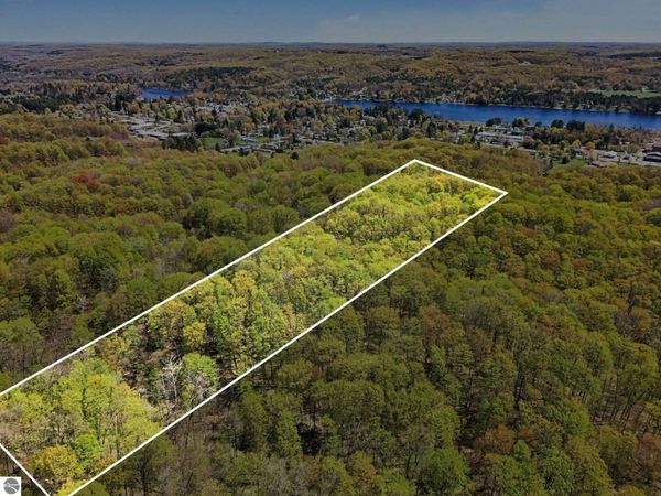 Dawson Lane, Central Lake, MI 49622