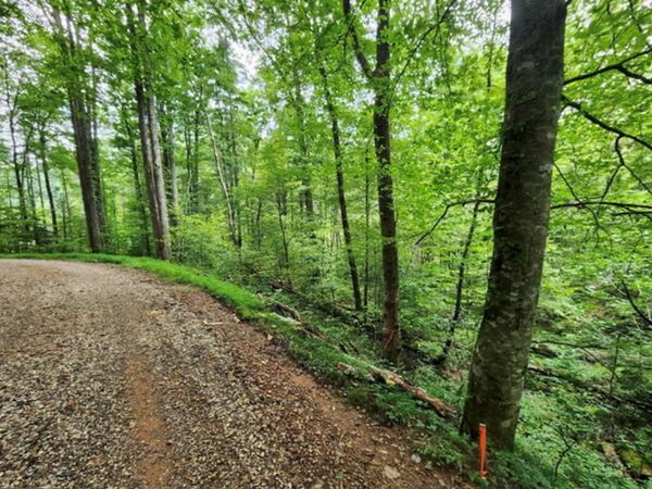 2B Poplar Cove, Suches, GA 30572