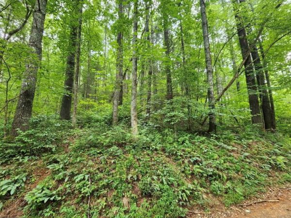 2A Poplar Cove, Suches, GA 30572