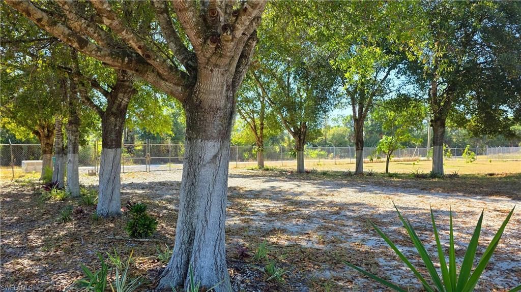 527 Perimeter , Clewiston, FL 33440 Photo
