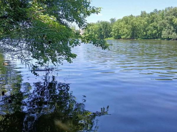 3791 Walnut Park Drive NE, Grand Rapids, MI 49525