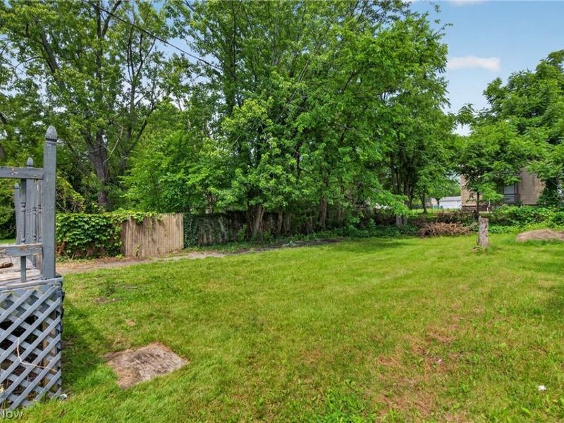 11817 Forest Avenue, Cleveland, OH 44120 Photo 4