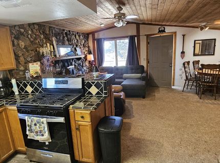 202 Kingston Road, Kingston, NV 89310 Photo