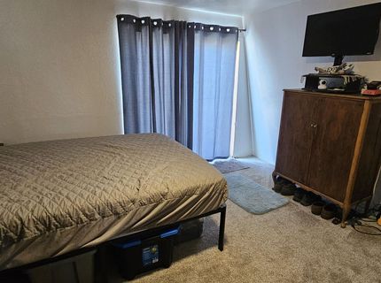 202 Kingston Road, Kingston, NV 89310 Photo