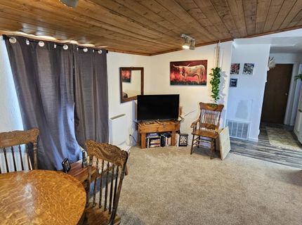 202 Kingston Road, Kingston, NV 89310 Photo