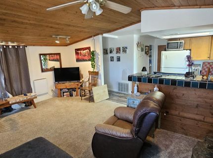202 Kingston Road, Kingston, NV 89310 Photo