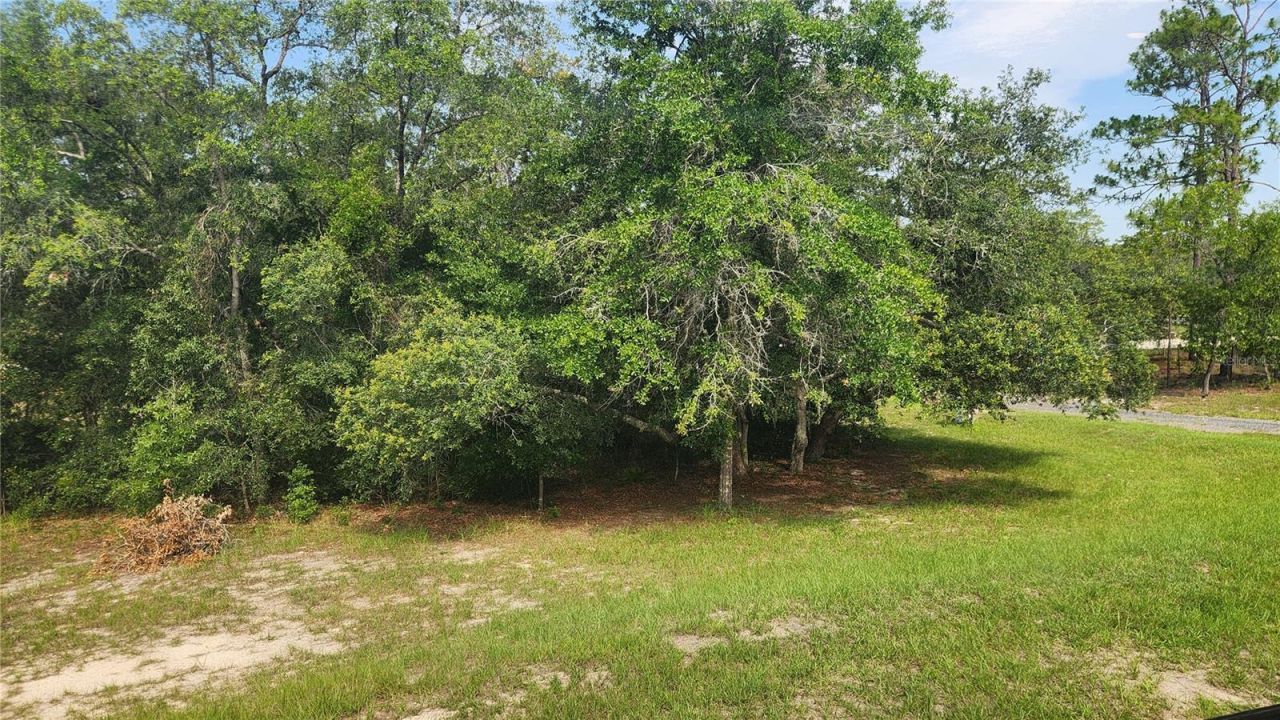 2251 SE 146th Circle , Morriston, FL 32668 Photo