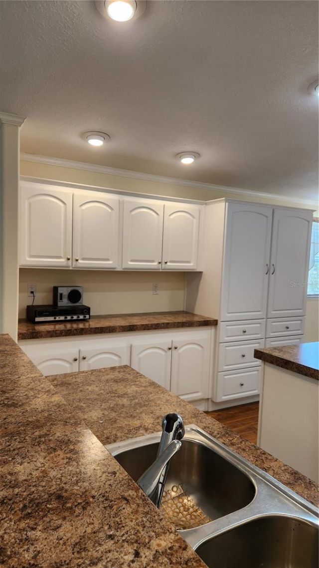 2251 SE 146th Circle , Morriston, FL 32668 Photo