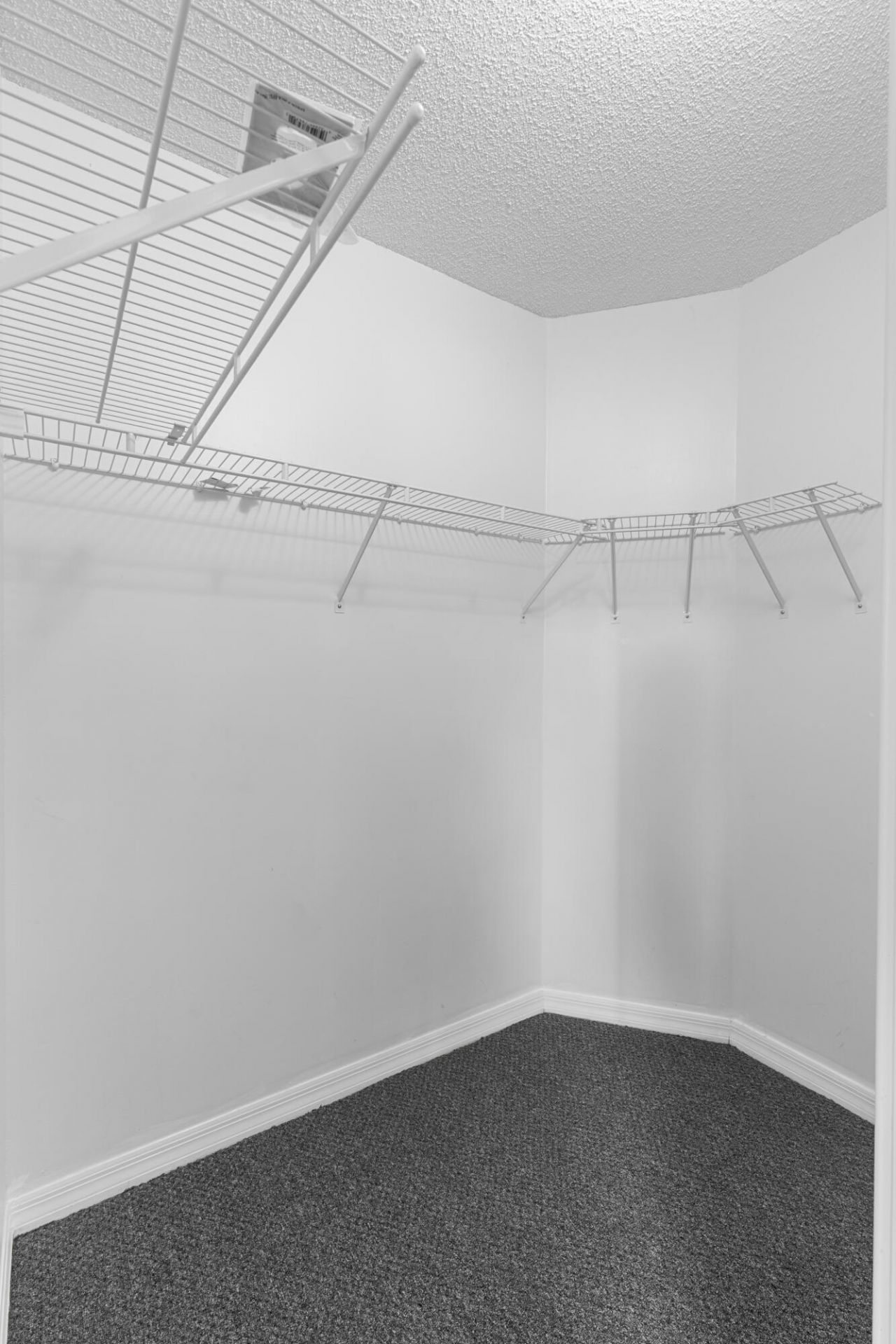 245 Via Milan Terrace, Davie, FL 33325 Photo