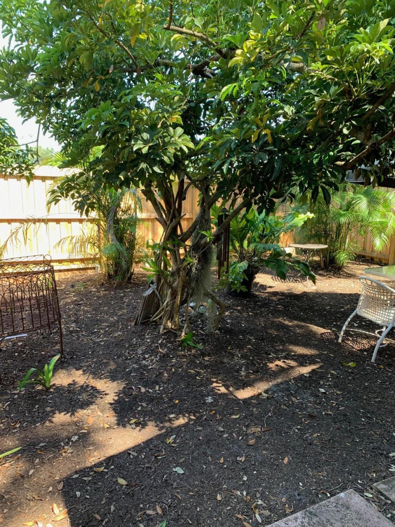Please Call For Address, Lake Worth, FL 33461 Photo