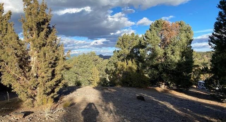 21650 Palamino Road, Reno, NV 89521 Photo