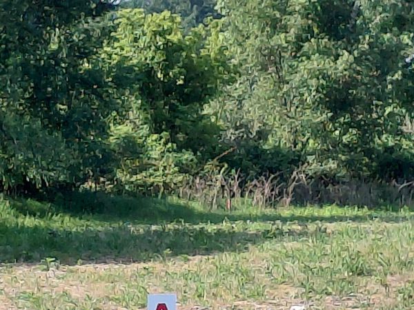 Stony Lake Road, Jackson, MI 49201