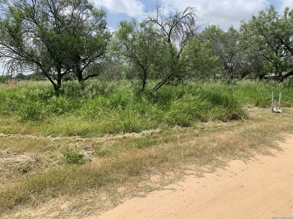 319 Karen Kourt, Devine, TX 78016