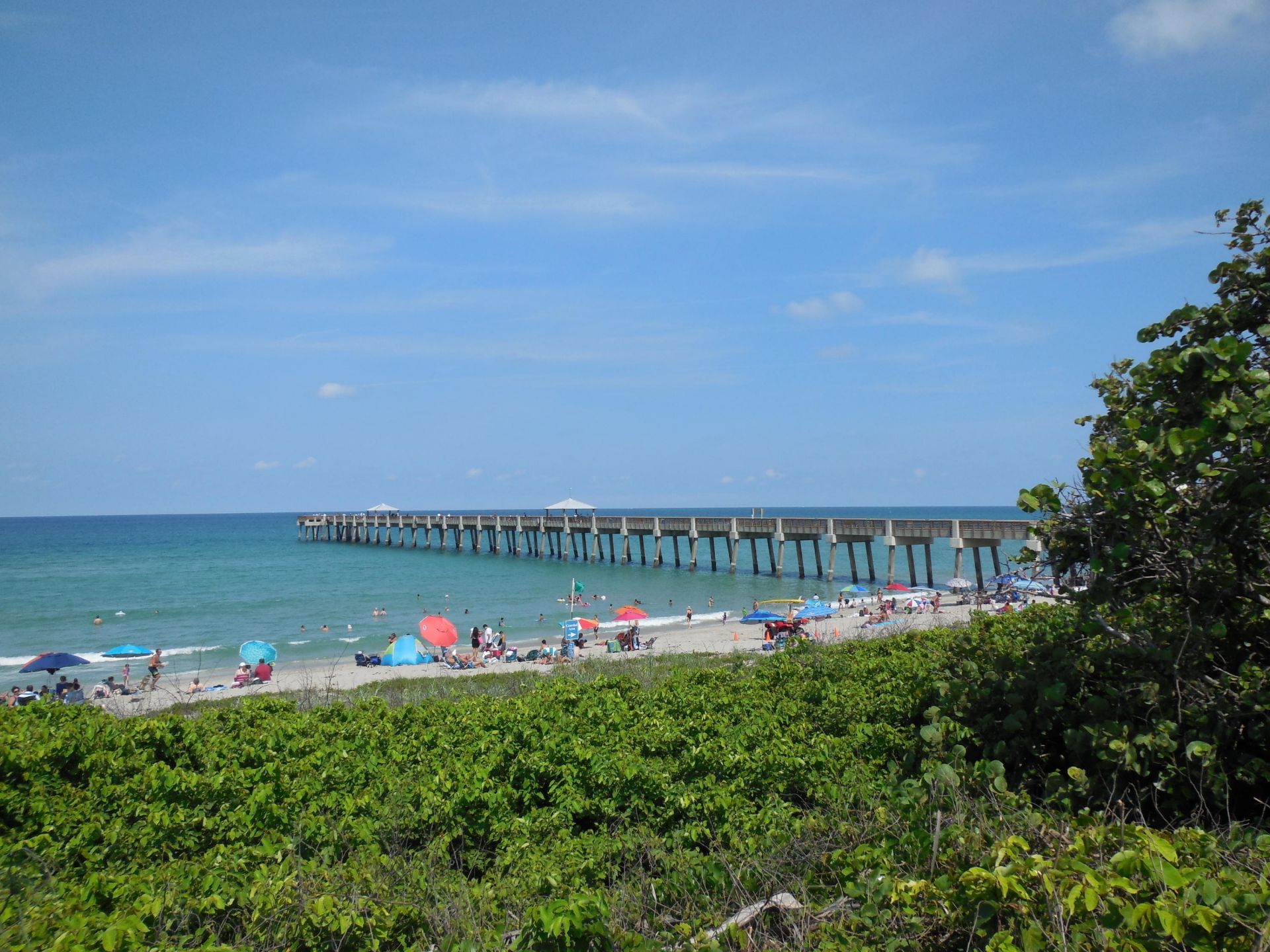 800 Juno Ocean Walk, Unit 301a, Juno Beach, FL 33408 Photo