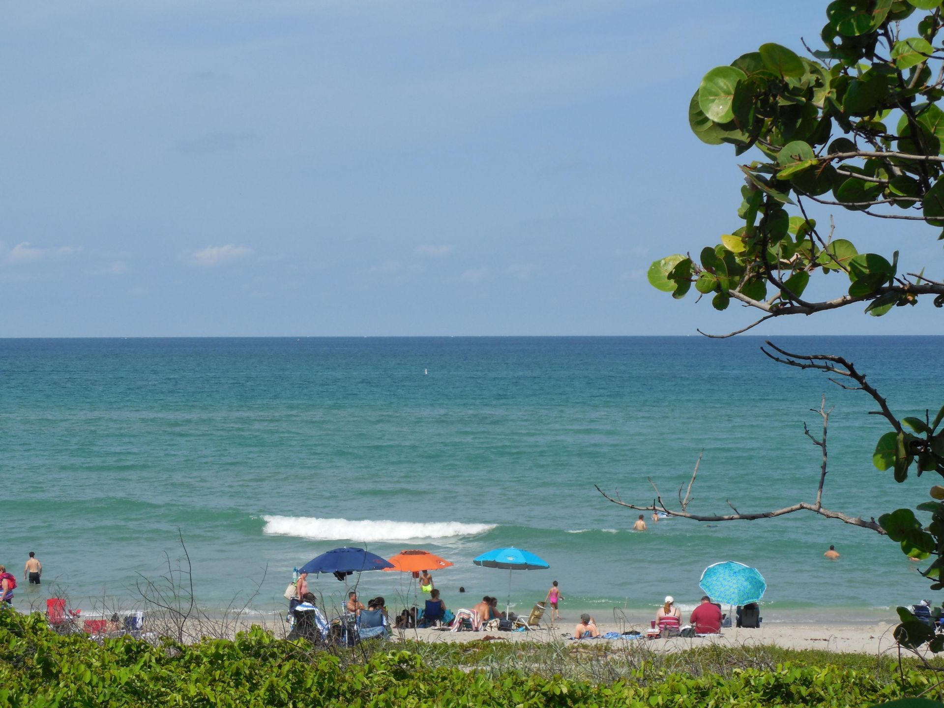 800 Juno Ocean Walk, Unit 301a, Juno Beach, FL 33408 Photo