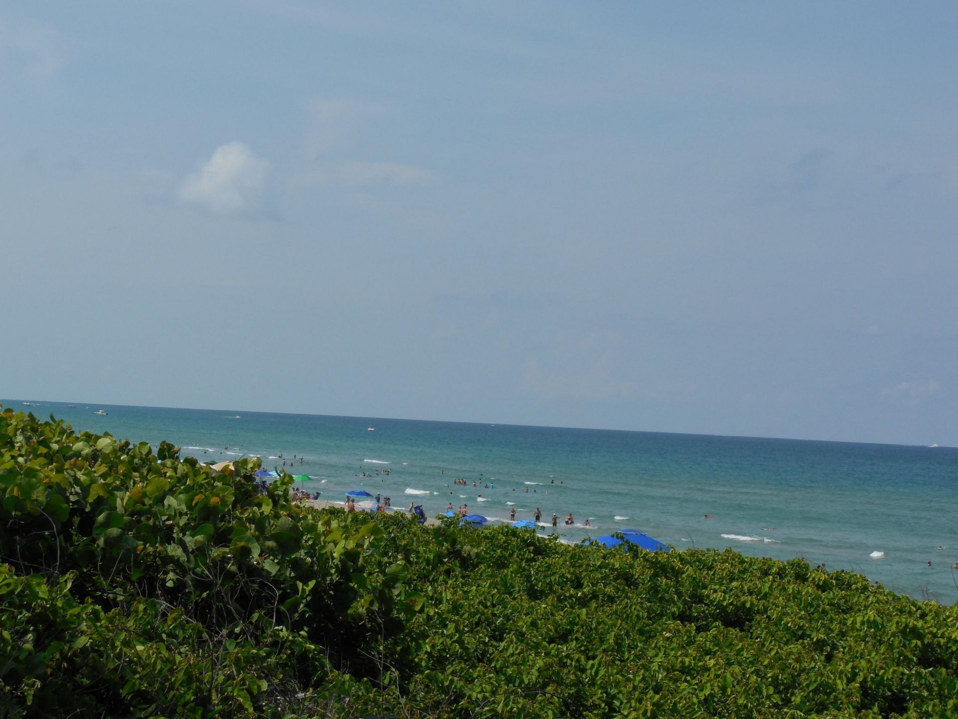800 Juno Ocean Walk, Unit 301a, Juno Beach, FL 33408 Photo