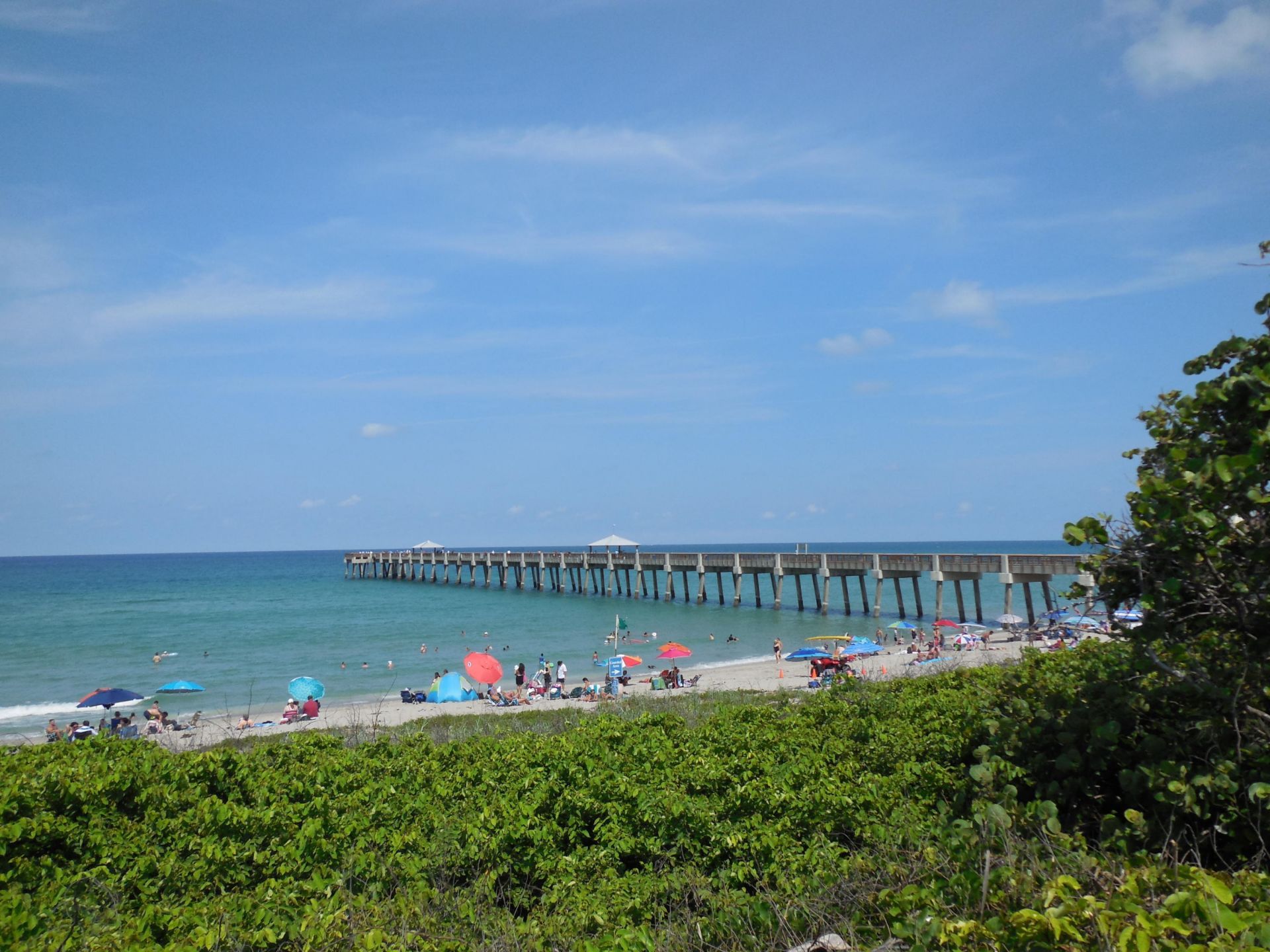 800 Juno Ocean Walk, Unit 301a, Juno Beach, FL 33408 Photo