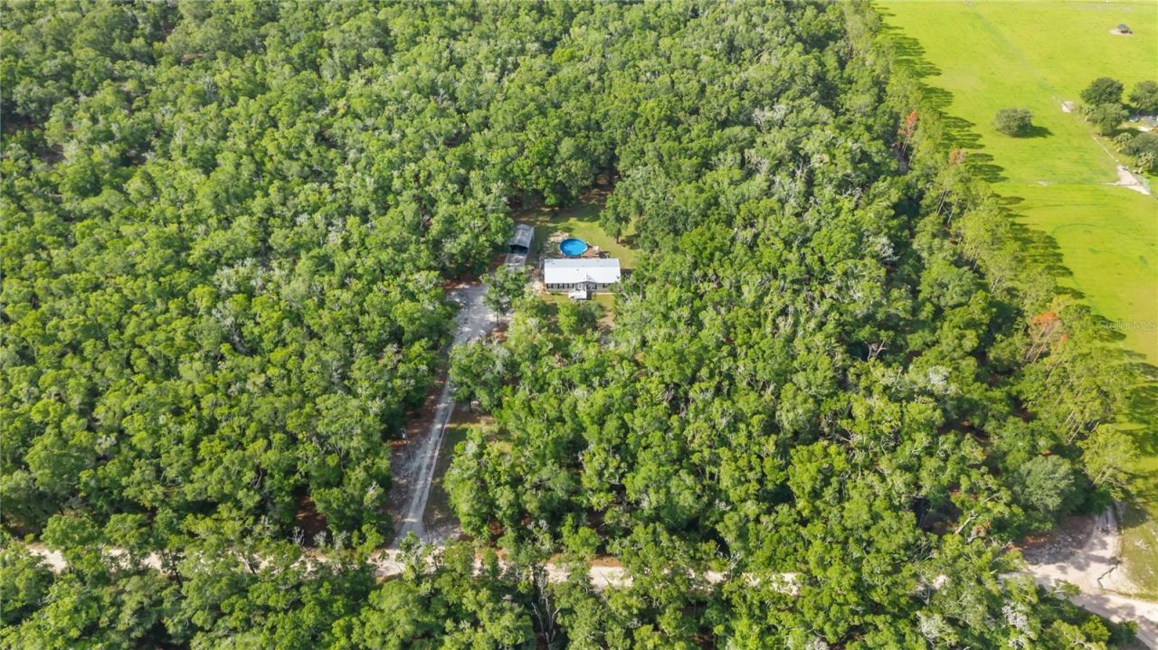 6679 NW 27th Place , Bell, FL 32619 Photo