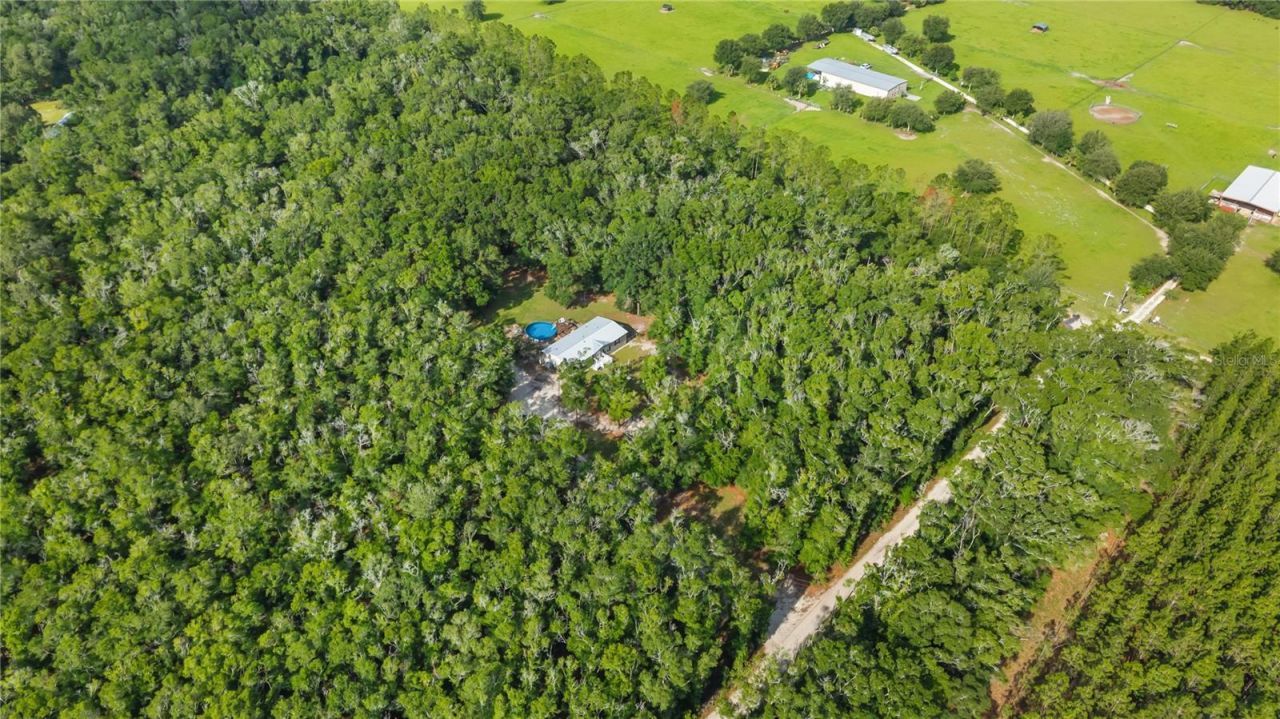 6679 NW 27th Place , Bell, FL 32619 Photo