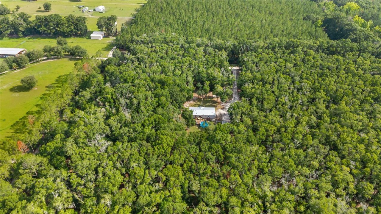 6679 NW 27th Place , Bell, FL 32619 Photo