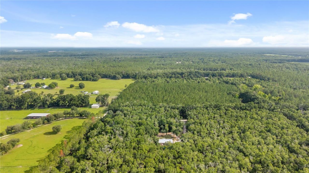 6679 NW 27th Place , Bell, FL 32619 Photo