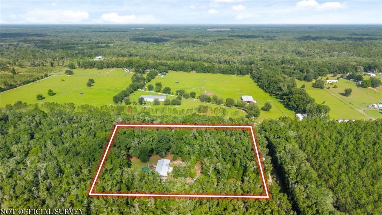 6679 NW 27th Place , Bell, FL 32619 Photo