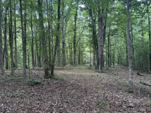 0 Jack Saunders Rd , Waverly, TN 37185