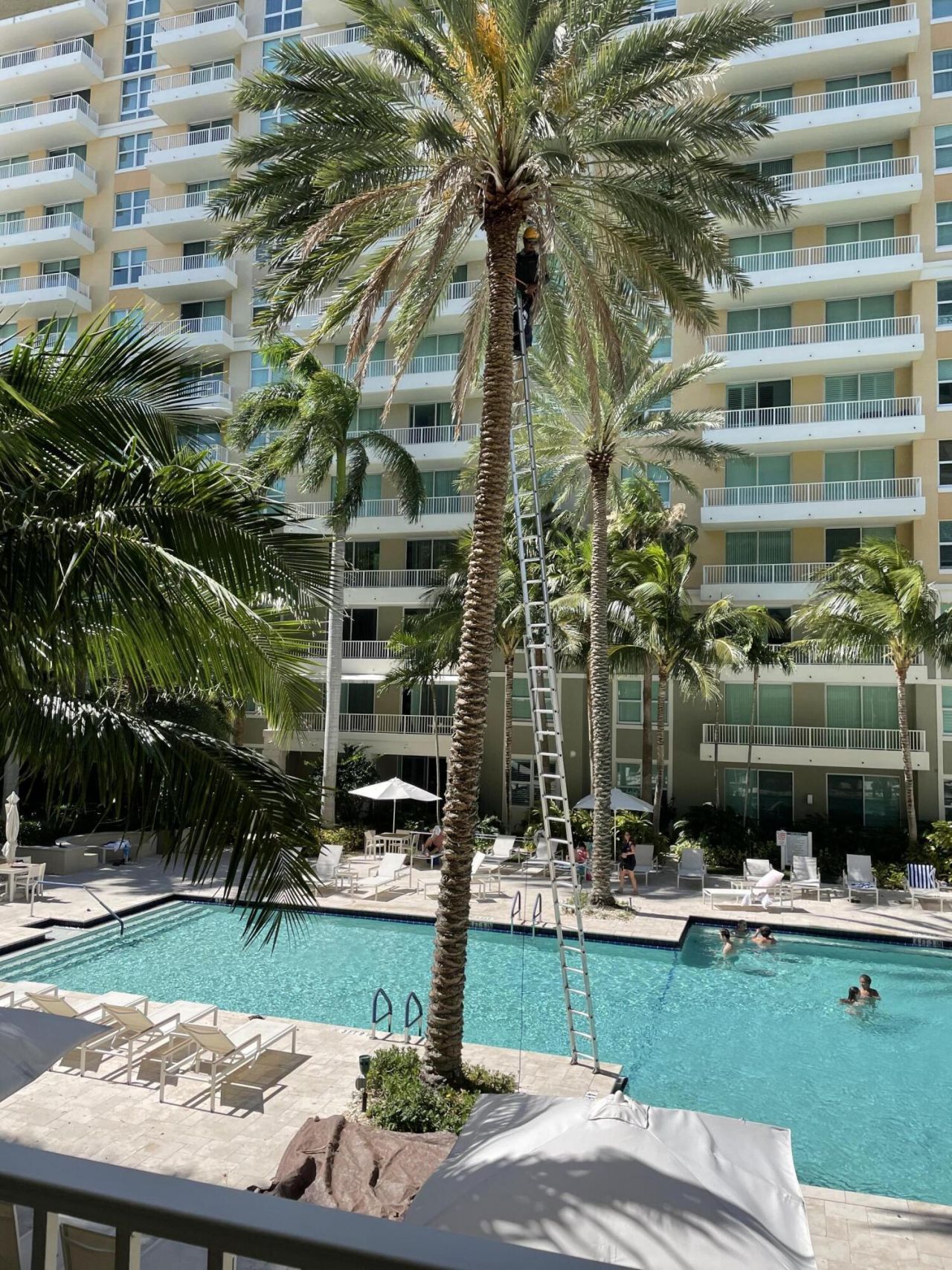 100 NE 6th Street, Unit 709, Boynton Beach, FL 33435 Photo