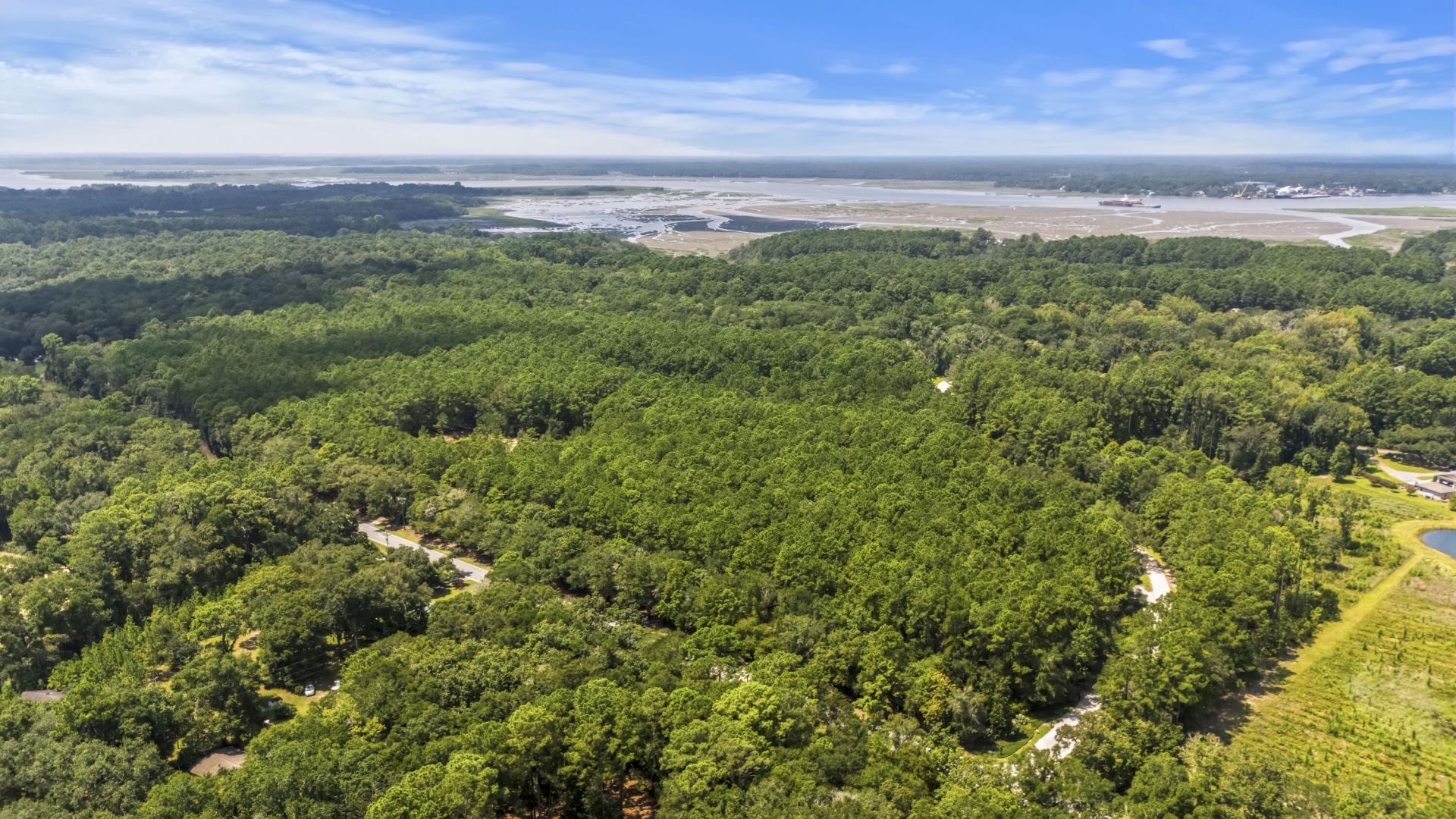 1451 Bears Bluff Road Photo 12