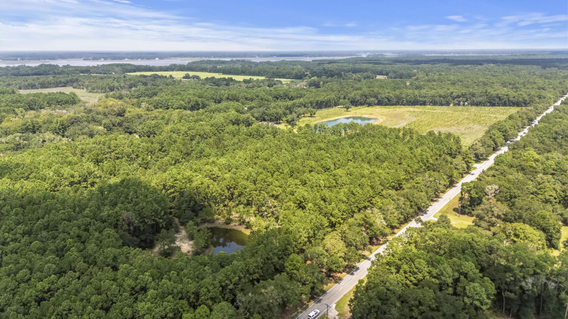 1451 Bears Bluff Road Photo 13