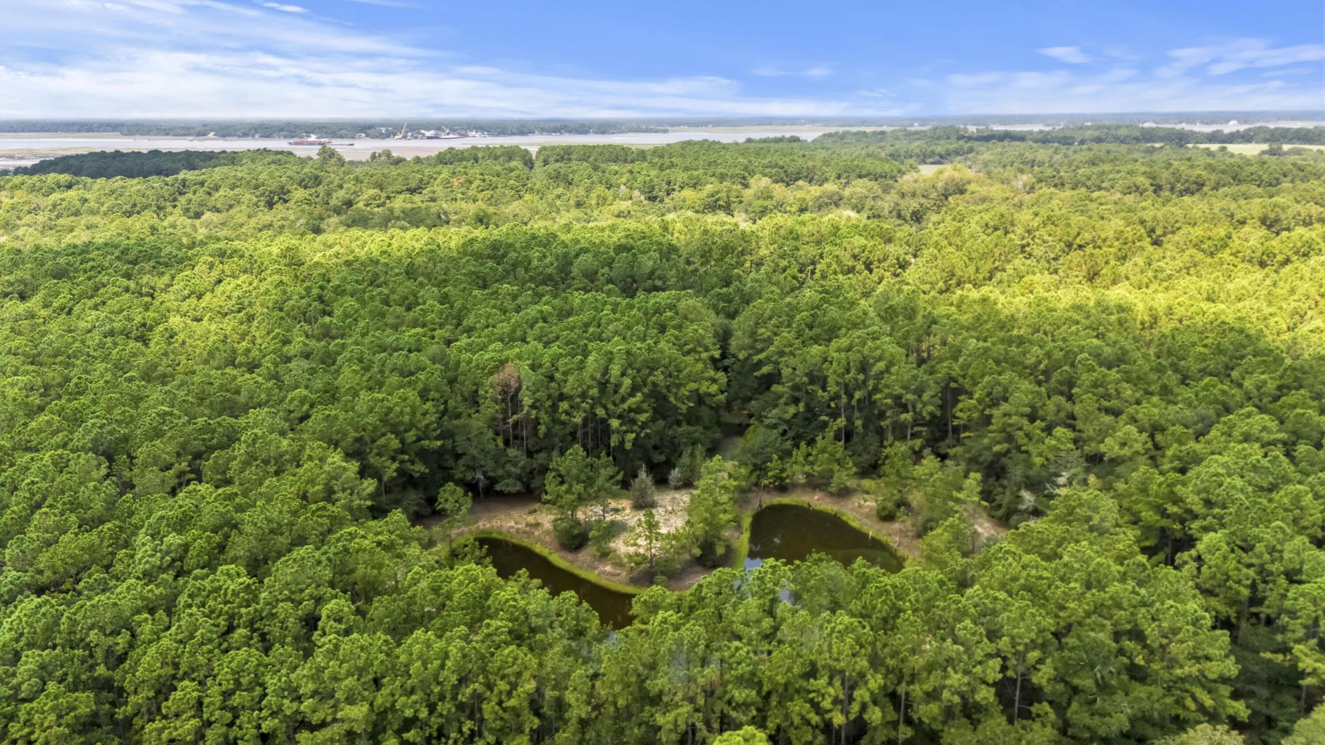 1451 Bears Bluff Road Photo 14
