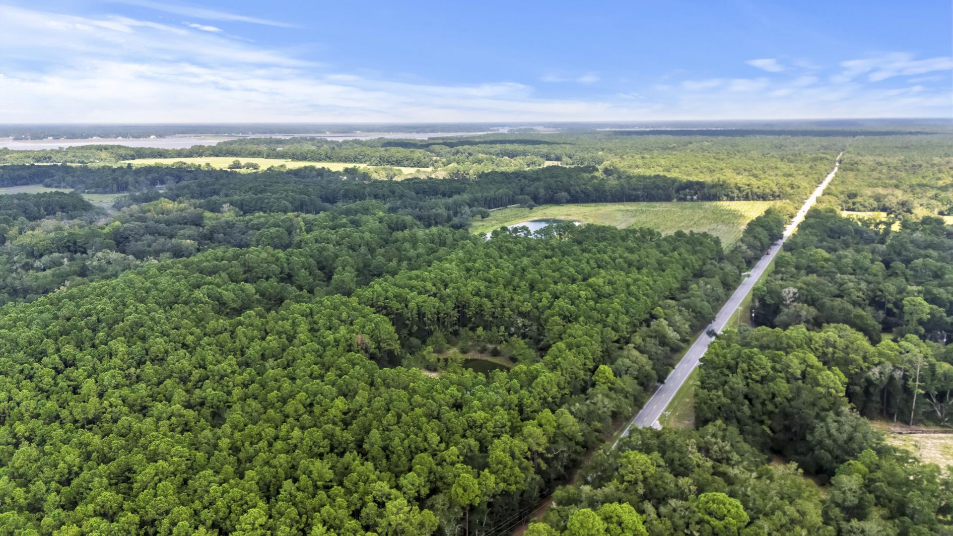 1451 Bears Bluff Road Photo 15