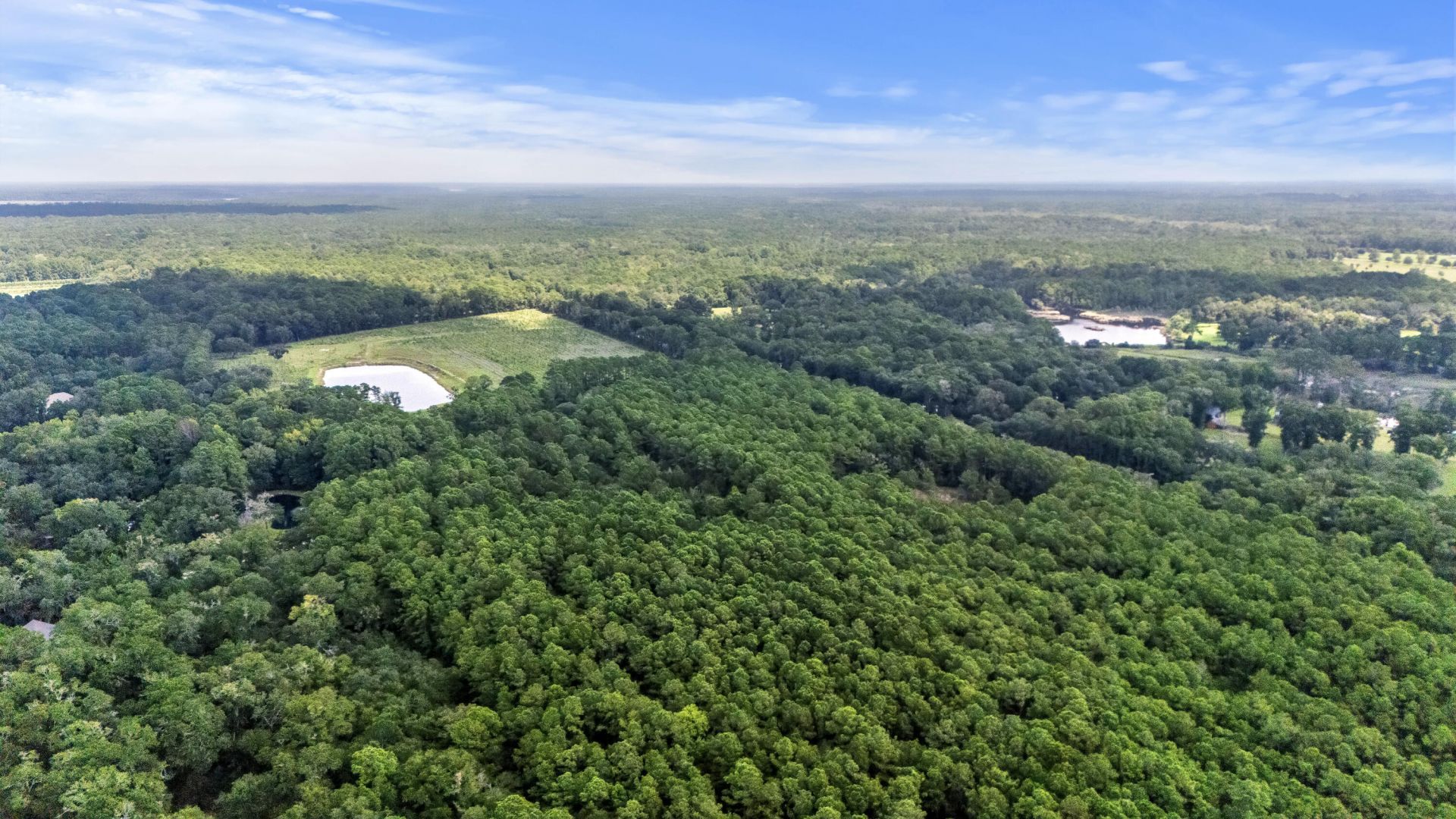 1451 Bears Bluff Road Photo 16