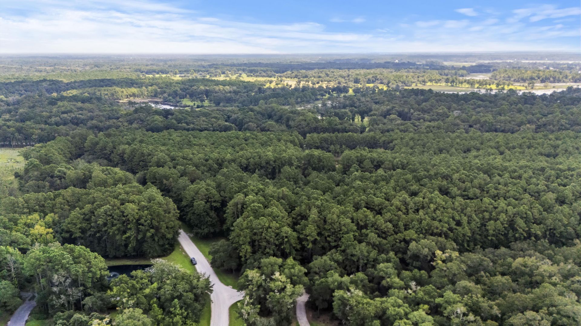 1451 Bears Bluff Road Photo 18