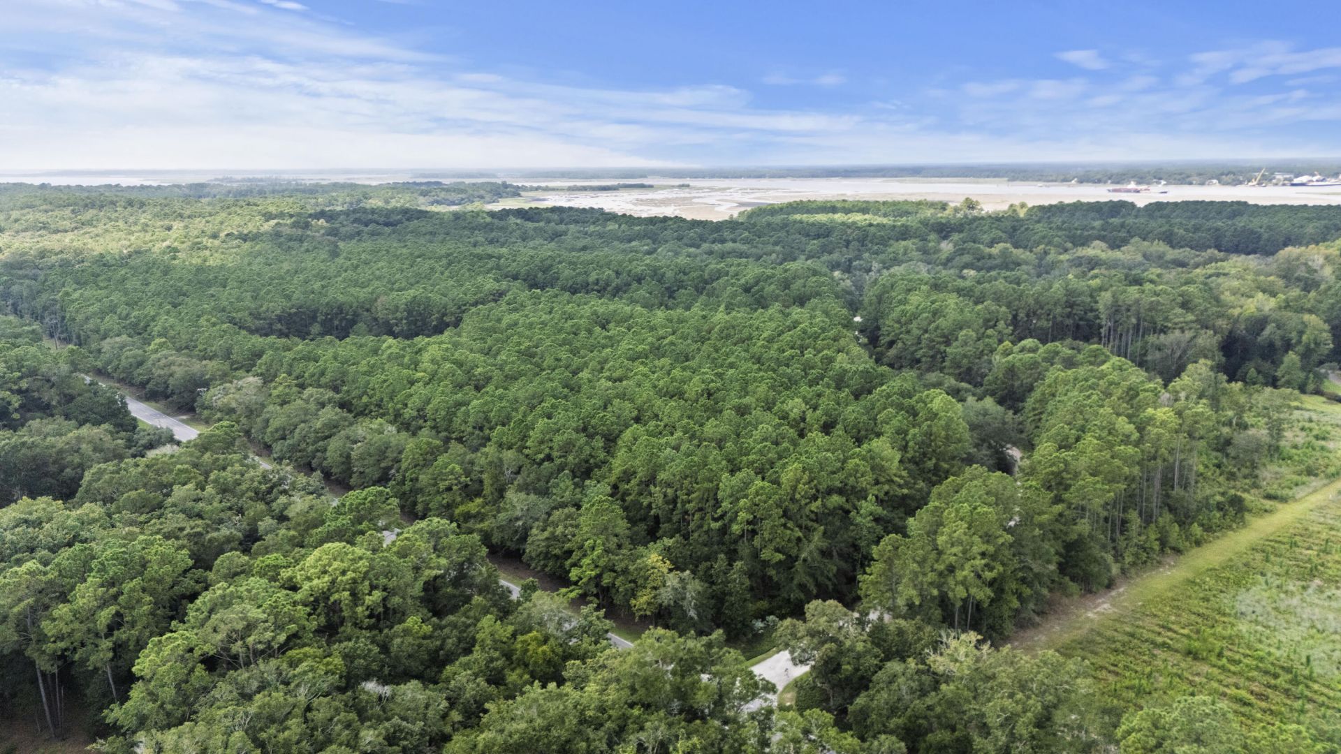 1451 Bears Bluff Road Photo 19