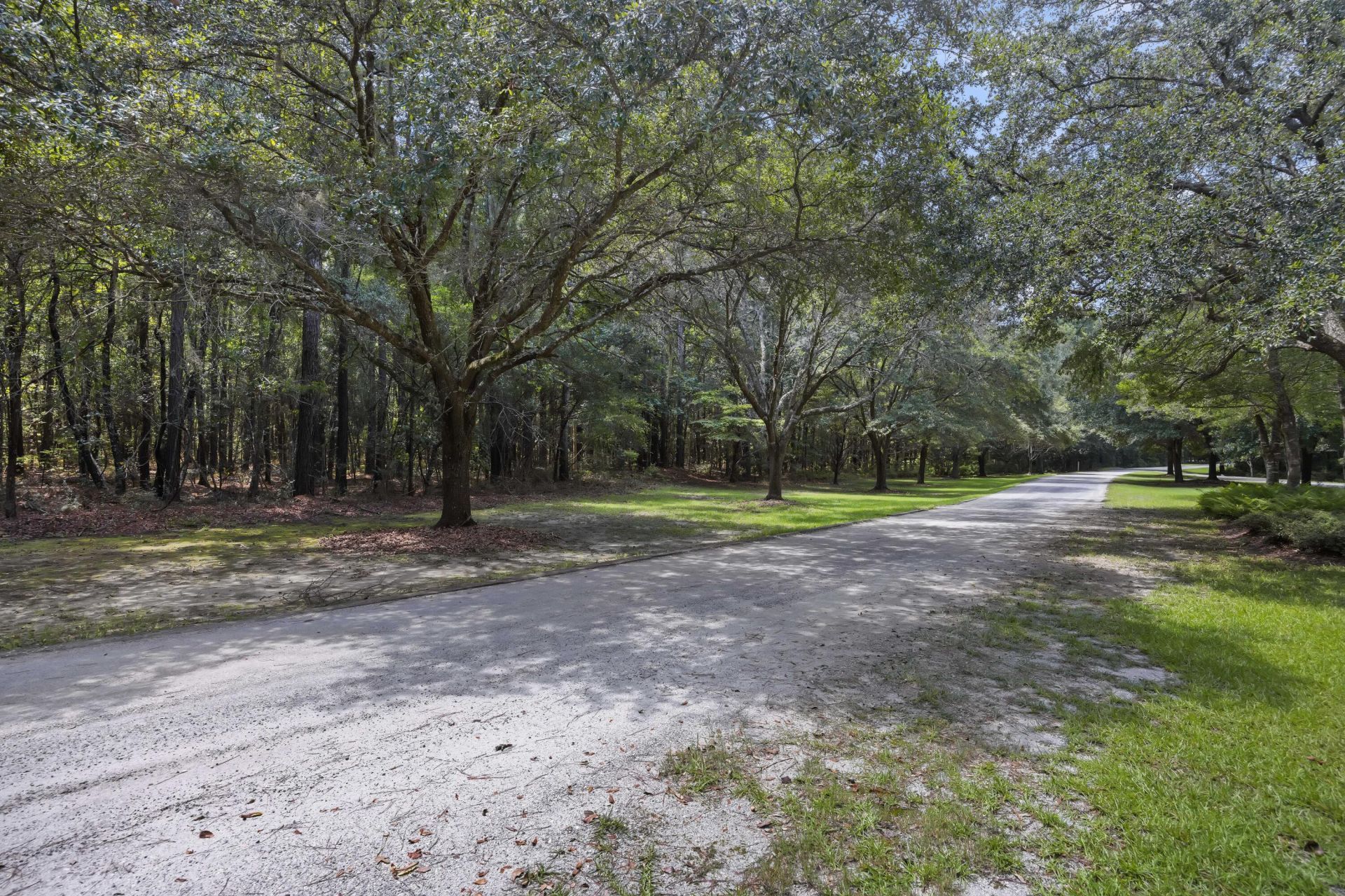 1451 Bears Bluff Road Photo 20