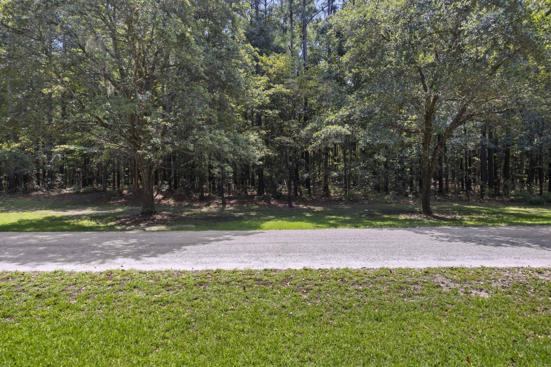 1451 Bears Bluff Road Photo 21